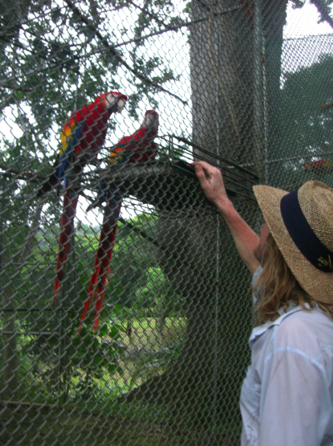 me and my birds